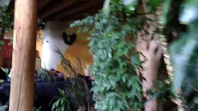 Phoenix Earthship Tour смотреть онлайн