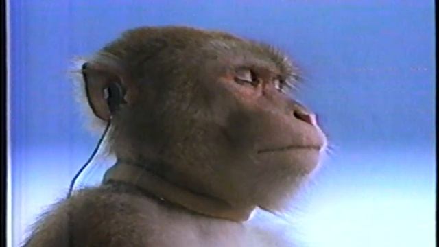 1988 Sony Walkman Commercial (U.S. Version) смотреть онлайн