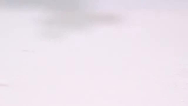 Видео инструкция по применению вакцинаторов Diamond Engineering