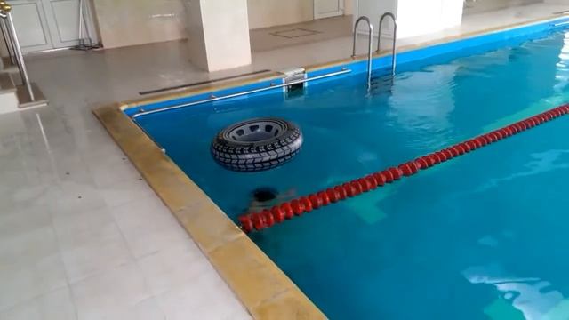 ЧТО ДЕЛАТЬ В БАССЕЙНЕ,ЕСЛИ СКУЧНО смотреть онлайн