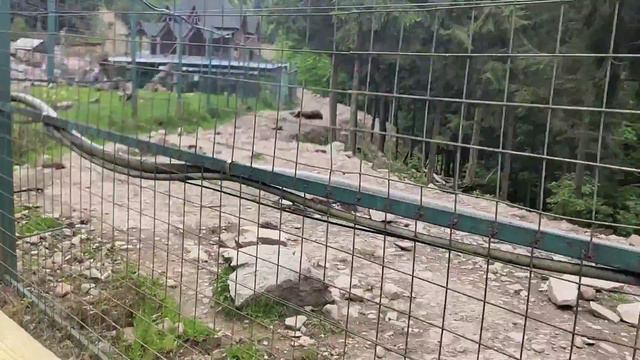 Міжгір'я карпати смотреть онлайн