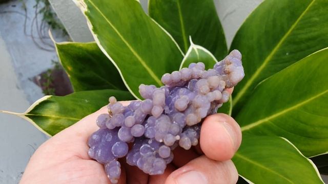 Grape agate - Botryoidal chalcedony quartz смотреть онлайн