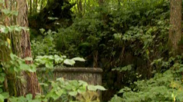 Чудеса России: Валаам. Земля бога смотреть онлайн