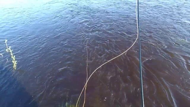 НАХЛЫСТ x ЧЕХОНЬ НА ПЕРЕКАТЕ #58 смотреть онлайн