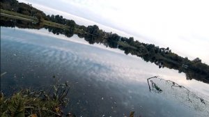 ЖОР Окуня в ПОДМОСКОВЬЕ осенью! ? Ловля на спиннинг в сентябре. Микроджиг.