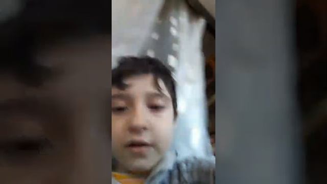 как посадить иву смотреть онлайн