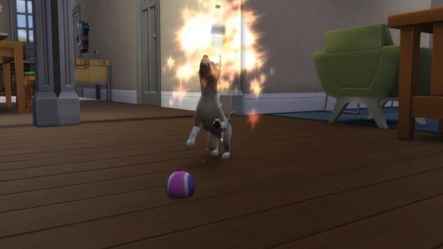 Sims 4 Puppy Aging Into Adult смотреть онлайн
