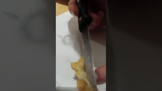 Наши любимые новогодние мандарины!)сюрприз внутри,ужас,опарыши смотреть онлайн