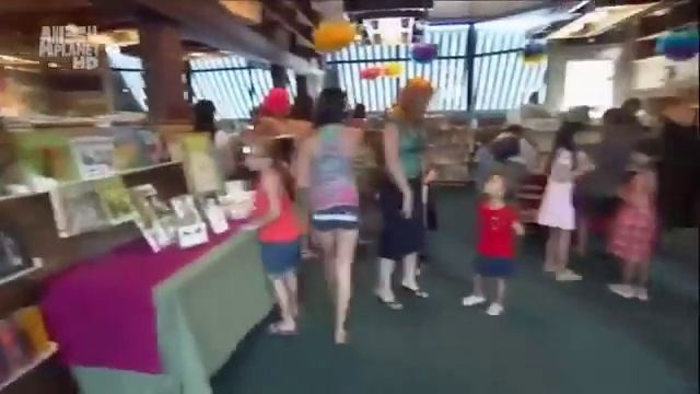 Факты про ежей смотреть онлайн