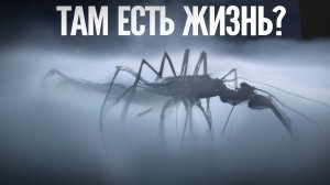 Что БУДЕТ если НАСА объявит о нахождении инопланетных сигналов и следов жизни?