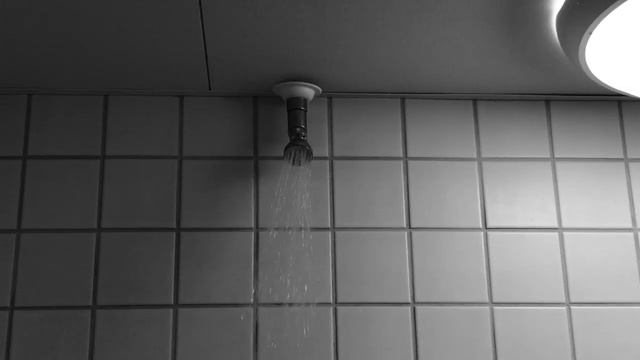 Angel Shampoo смотреть онлайн