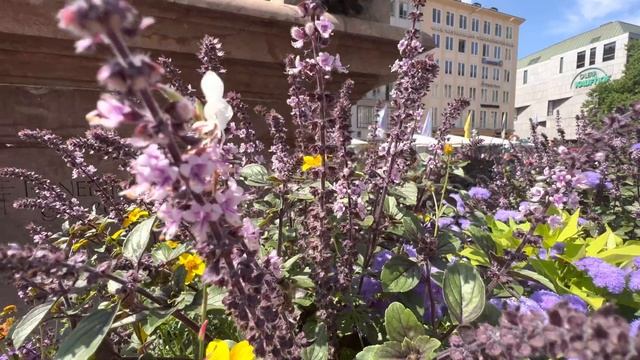 Walking in Munich (München) City Germany 4K 2022 смотреть онлайн