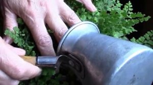 КОФЕ для цветов! Кофейная гуща как средство для удобрения!