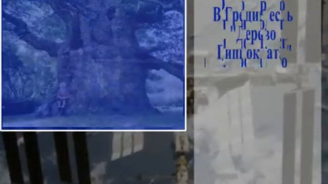 Интересное О деревьях 11 03 20133 11) смотреть онлайн