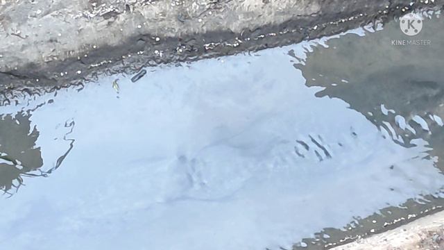 Потоп 4! Вода ушла!!! смотреть онлайн