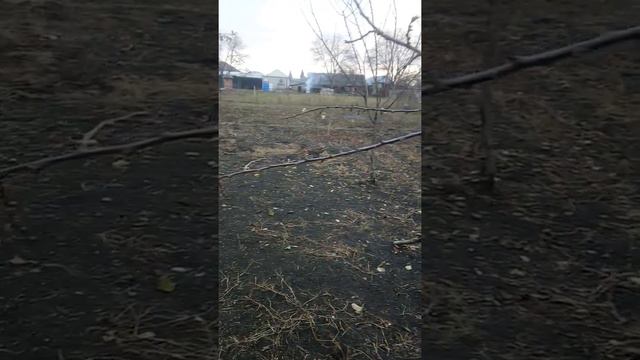 Что происходит с природой 2018 г смотреть онлайн