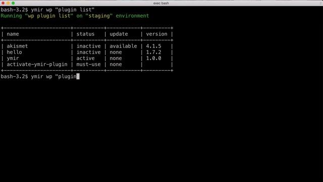 Ymir WP-CLI spport смотреть онлайн