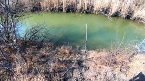 РЫБАЛКА на ПАУК | ЛОВЛЯ НА ПОДЬЁМНИК ВЕСНОЙ в РУЧЬЕ