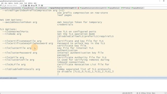 17 DataX 案例 MongoDB导出到MySQL和HDFS смотреть онлайн