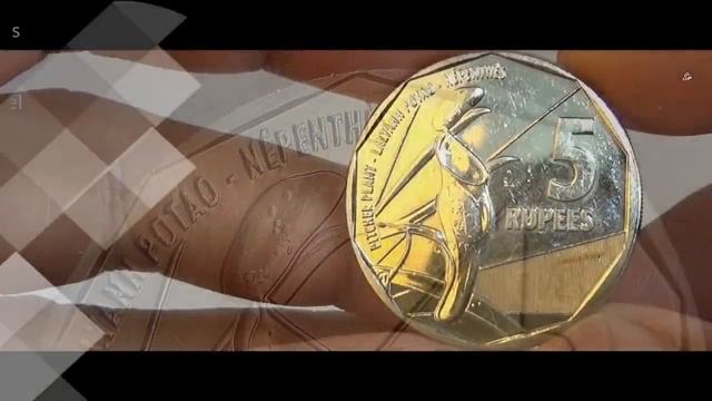 Seychelles Rupees Coins | SEYCHELLES island ~ WEST AFRICA смотреть онлайн