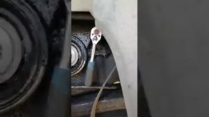 Замена ремня грм Рено Логан 1,6  8 клапанов