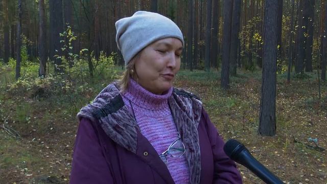 На календаре – середина октября, а лес все манит к себе любителей тихой охоты смотреть онлайн