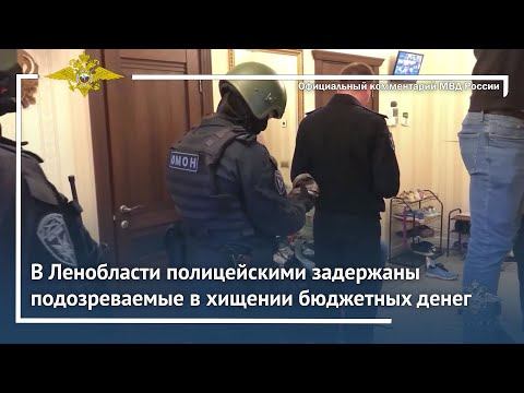 Ирина Волк: В Ленобласти полицейскими задержаны подозреваемые в хищении бюджетных денег смотреть онлайн