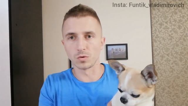 Как воспитать умную собаку смотреть онлайн