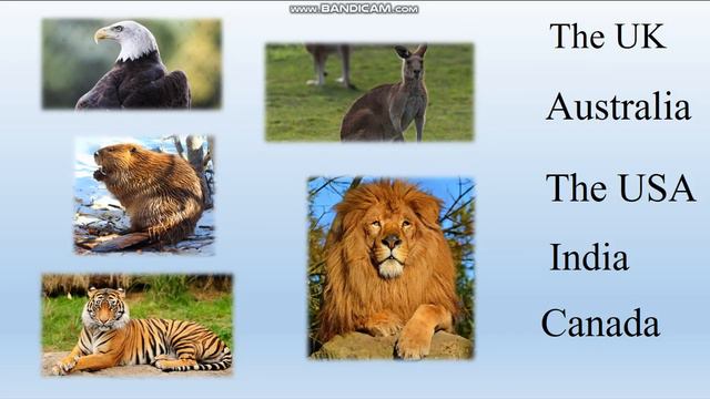 Unit 9. Lesson 1 смотреть онлайн