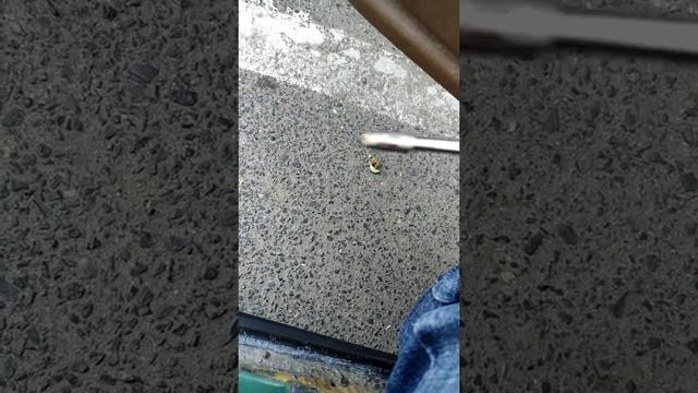 Почему Богомол? смотреть онлайн