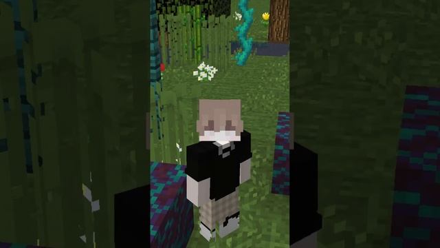 КАКАЯ САМАЯ ПОПУЛЯРНАЯ ВЕРСИЯ В МАЙНКРАФТЕ? | Sl1vZ | #shorts #minecraft #shortsminecraft смотреть онлайн