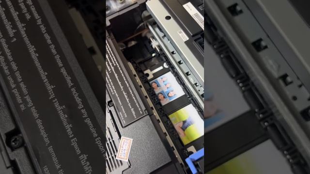 Print ID Card Epson L8050 смотреть онлайн