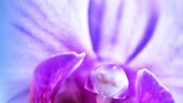 LA COSCIENZA DELL' UNITA' смотреть онлайн
