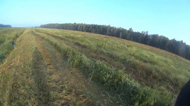 Охота на утку и вяхиря 2023. Здабыл одного и на мазал по уткам.#охота#утки#охотанаутку#вяхирь#голуб смотреть онлайн