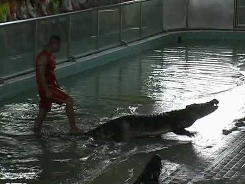 2013 Тайланд (часть 1 - Крокодилы)