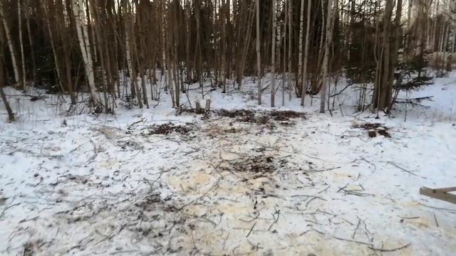 Дача 5 дек 2020 смотреть онлайн