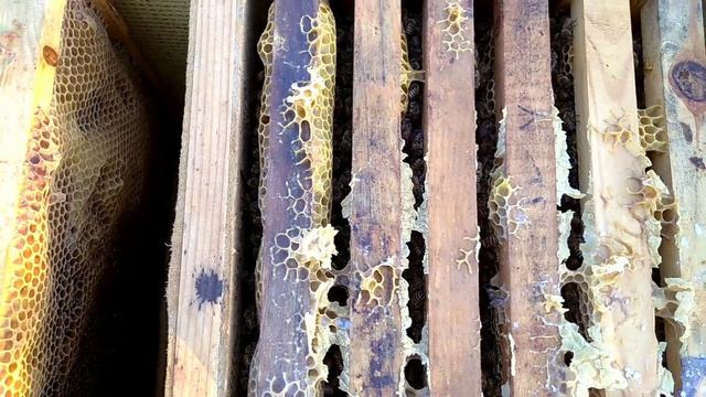 Вся правда об УС. Зачем обманывать людей. Ваше мнение??? смотреть онлайн