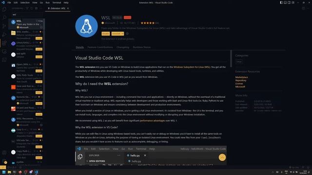Visual Studio Code Setup for C/C++ with WSL смотреть онлайн