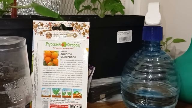 18.12.2022. ?Как выглядит моя рассада цветов.?