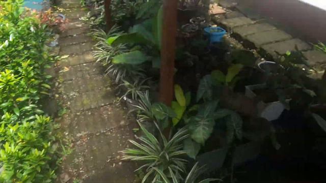 Perkenalan Dgn Green Hause BARU Dengan Macam2 Bunga Yg Cetar Membahana