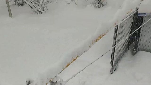 Безумная зима, замело все дороги. снега за два часа под метр. что будет дальше,не известно смотреть онлайн