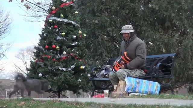 Рождественское чудо для бездомных смотреть онлайн