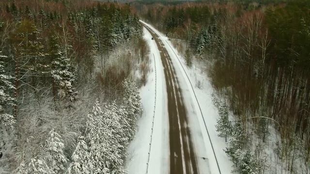 Калининградская область. Роминтенская пуща. п. Краснолесье смотреть онлайн