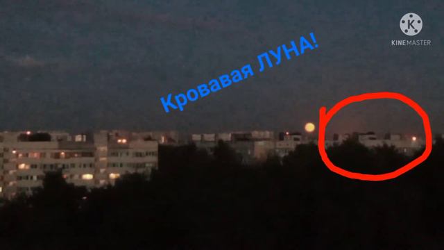 Кровавая ЛУНА! смотреть онлайн