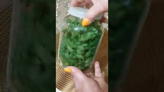 ЛУЧШИЙ СПОСОБ ХРАНЕНИЯ СВЕЖЕЙ ЗЕЛЕНИ,ЗЕЛЕНЬ КАК ТОЛЬКО ЧТО С ГРЯДКИ! смотреть онлайн