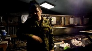 Курская обл. ЛПХ  Рыльский кролик