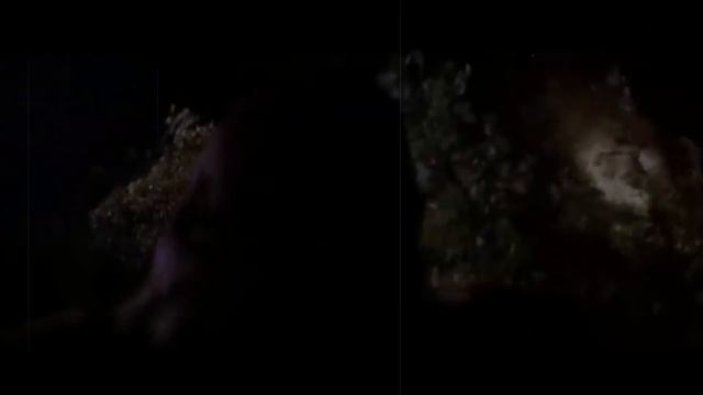 The King Kong-Athon: King Kong 1976 смотреть онлайн