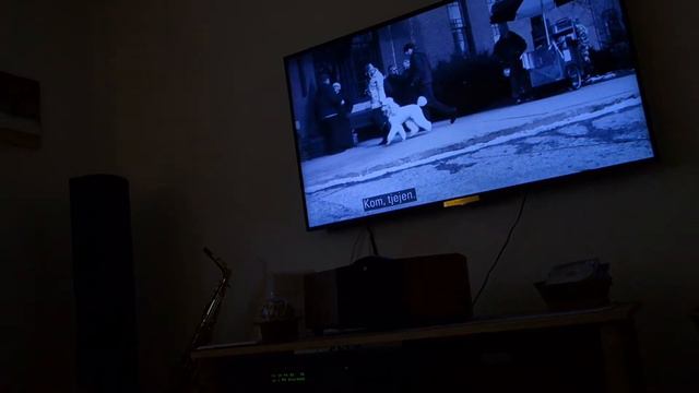Zigge watching Hachiko on Tv смотреть онлайн