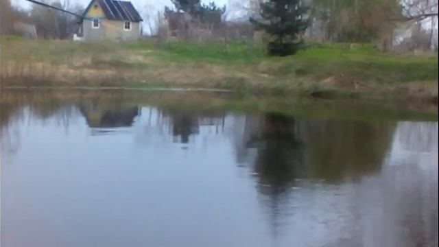 Бешенный клёв карася! Ловим карася весной смотреть онлайн