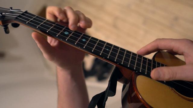 Tutorial: I sne står urt og busk i skjul смотреть онлайн